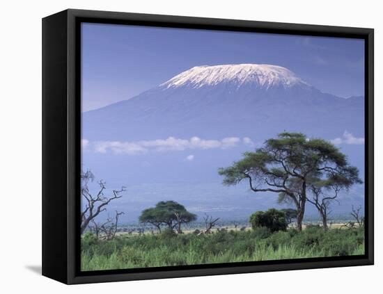 Mount Kilimanjaro, Amboseli National Park, Kenya-Art Wolfe-Framed Stretched Canvas