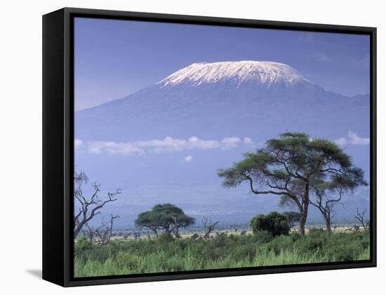 Mount Kilimanjaro, Amboseli National Park, Kenya-Art Wolfe-Framed Stretched Canvas
