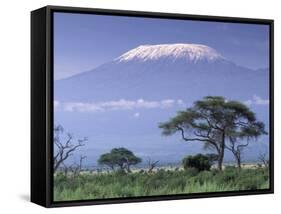 Mount Kilimanjaro, Amboseli National Park, Kenya-Art Wolfe-Framed Stretched Canvas