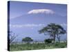 Mount Kilimanjaro, Amboseli National Park, Kenya-Art Wolfe-Stretched Canvas