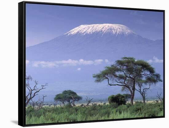 Mount Kilimanjaro, Amboseli National Park, Kenya-Art Wolfe-Framed Stretched Canvas