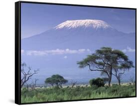 Mount Kilimanjaro, Amboseli National Park, Kenya-Art Wolfe-Framed Stretched Canvas