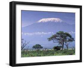 Mount Kilimanjaro, Amboseli National Park, Kenya-Art Wolfe-Framed Premium Photographic Print