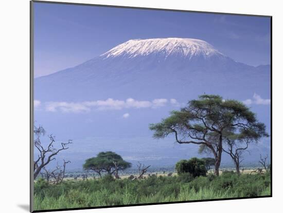 Mount Kilimanjaro, Amboseli National Park, Kenya-Art Wolfe-Mounted Premium Photographic Print