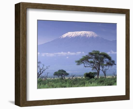 Mount Kilimanjaro, Amboseli National Park, Kenya-Art Wolfe-Framed Photographic Print