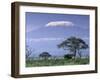 Mount Kilimanjaro, Amboseli National Park, Kenya-Art Wolfe-Framed Photographic Print