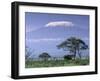 Mount Kilimanjaro, Amboseli National Park, Kenya-Art Wolfe-Framed Photographic Print