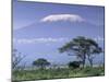 Mount Kilimanjaro, Amboseli National Park, Kenya-Art Wolfe-Mounted Photographic Print