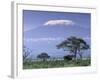 Mount Kilimanjaro, Amboseli National Park, Kenya-Art Wolfe-Framed Photographic Print