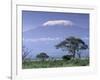 Mount Kilimanjaro, Amboseli National Park, Kenya-Art Wolfe-Framed Photographic Print