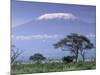 Mount Kilimanjaro, Amboseli National Park, Kenya-Art Wolfe-Mounted Photographic Print