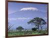 Mount Kilimanjaro, Amboseli National Park, Kenya-Art Wolfe-Framed Photographic Print