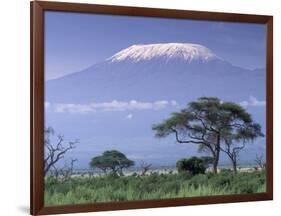 Mount Kilimanjaro, Amboseli National Park, Kenya-Art Wolfe-Framed Photographic Print