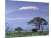 Mount Kilimanjaro, Amboseli National Park, Kenya-Art Wolfe-Mounted Photographic Print