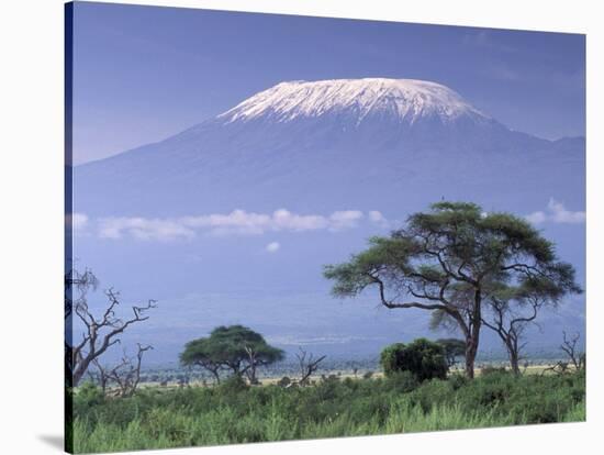 Mount Kilimanjaro, Amboseli National Park, Kenya-Art Wolfe-Stretched Canvas