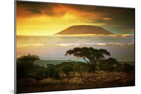 Mount Kilimanjaro and Clouds Line at Sunset, View from Savanna Landscape in Amboseli, Kenya, Africa-Michal Bednarek-Mounted Photographic Print