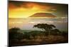 Mount Kilimanjaro and Clouds Line at Sunset, View from Savanna Landscape in Amboseli, Kenya, Africa-Michal Bednarek-Mounted Photographic Print
