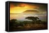 Mount Kilimanjaro and Clouds Line at Sunset, View from Savanna Landscape in Amboseli, Kenya, Africa-Michal Bednarek-Framed Stretched Canvas