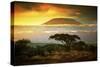 Mount Kilimanjaro and Clouds Line at Sunset, View from Savanna Landscape in Amboseli, Kenya, Africa-Michal Bednarek-Stretched Canvas