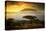 Mount Kilimanjaro and Clouds Line at Sunset, View from Savanna Landscape in Amboseli, Kenya, Africa-Michal Bednarek-Stretched Canvas