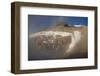 Mount Kilimanjaro and Glaciers-null-Framed Photographic Print