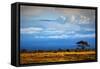 Mount Kilimanjaro Partly in Clouds, View from Savanna Landscape in Amboseli, Kenya, Africa-Michal Bednarek-Framed Stretched Canvas