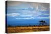 Mount Kilimanjaro Partly in Clouds, View from Savanna Landscape in Amboseli, Kenya, Africa-Michal Bednarek-Stretched Canvas