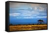 Mount Kilimanjaro Partly in Clouds, View from Savanna Landscape in Amboseli, Kenya, Africa-Michal Bednarek-Framed Stretched Canvas