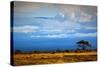 Mount Kilimanjaro Partly in Clouds, View from Savanna Landscape in Amboseli, Kenya, Africa-Michal Bednarek-Stretched Canvas