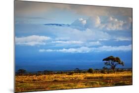 Mount Kilimanjaro Partly in Clouds, View from Savanna Landscape in Amboseli, Kenya, Africa-Michal Bednarek-Mounted Photographic Print