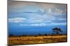 Mount Kilimanjaro Partly in Clouds, View from Savanna Landscape in Amboseli, Kenya, Africa-Michal Bednarek-Mounted Photographic Print