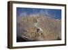 Mount Kilimanjaro Peak and Clouds-null-Framed Photographic Print