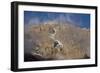 Mount Kilimanjaro Peak and Clouds-null-Framed Photographic Print