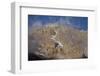 Mount Kilimanjaro Peak and Clouds-null-Framed Photographic Print