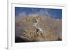 Mount Kilimanjaro Peak and Clouds-null-Framed Photographic Print