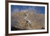 Mount Kilimanjaro Peak and Clouds-null-Framed Photographic Print