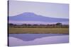 Mount Kilimanjaro, Seen from Amboseli National Park-DLILLC-Stretched Canvas