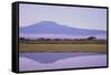 Mount Kilimanjaro, Seen from Amboseli National Park-DLILLC-Framed Stretched Canvas