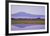 Mount Kilimanjaro, Seen from Amboseli National Park-DLILLC-Framed Photographic Print