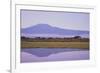 Mount Kilimanjaro, Seen from Amboseli National Park-DLILLC-Framed Photographic Print