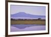 Mount Kilimanjaro, Seen from Amboseli National Park-DLILLC-Framed Photographic Print