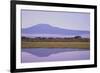 Mount Kilimanjaro, Seen from Amboseli National Park-DLILLC-Framed Photographic Print