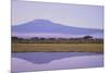 Mount Kilimanjaro, Seen from Amboseli National Park-DLILLC-Mounted Photographic Print