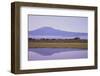 Mount Kilimanjaro, Seen from Amboseli National Park-DLILLC-Framed Photographic Print