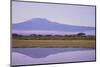 Mount Kilimanjaro, Seen from Amboseli National Park-DLILLC-Mounted Photographic Print