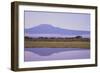 Mount Kilimanjaro, Seen from Amboseli National Park-DLILLC-Framed Photographic Print