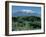 Mount Kilimanjaro, Tanzania, East Africa, Africa-Sassoon Sybil-Framed Photographic Print