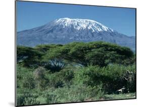 Mount Kilimanjaro, Tanzania, East Africa, Africa-Sassoon Sybil-Mounted Photographic Print