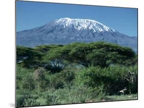 Mount Kilimanjaro, Tanzania, East Africa, Africa-Sassoon Sybil-Mounted Photographic Print