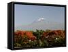 Mount Kilimanjaro, Tanzania, East Africa, Africa-Groenendijk Peter-Framed Stretched Canvas